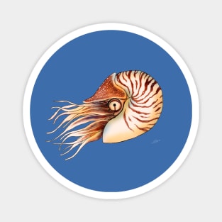 Nautilus Magnet